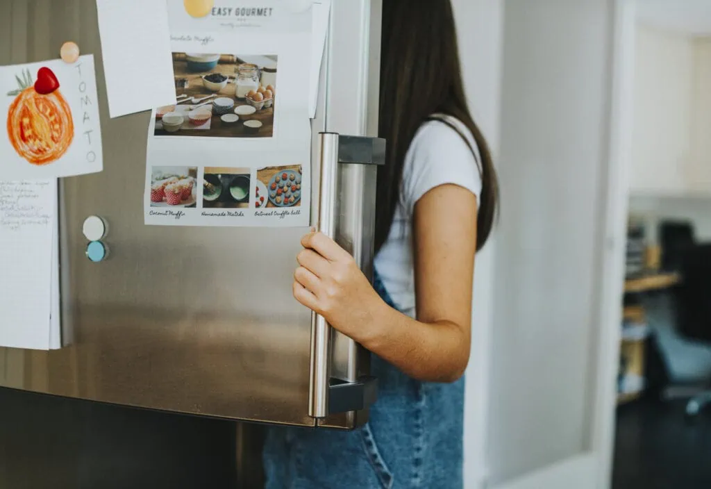 Winnipeg Fridge Repair