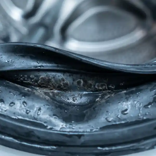 Dark mould colonies and moisture built up inside the folds of a rubber washing machine door gasket.